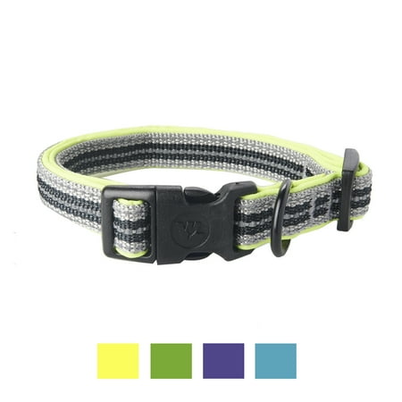 Vibrant Life Metal & Plastic & Nylon Striped Safety Dog Collar, Yellow, Medium