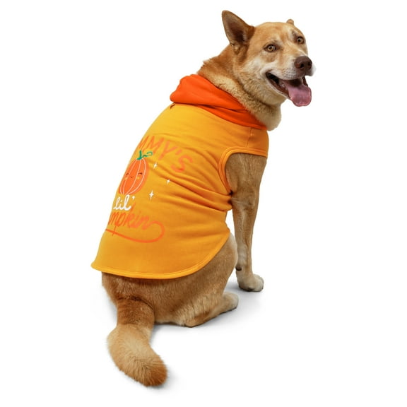 Vibrant Life Halloween Hoodie for Dogs, Mommy's Lil' Pumpkin, Orange, Large