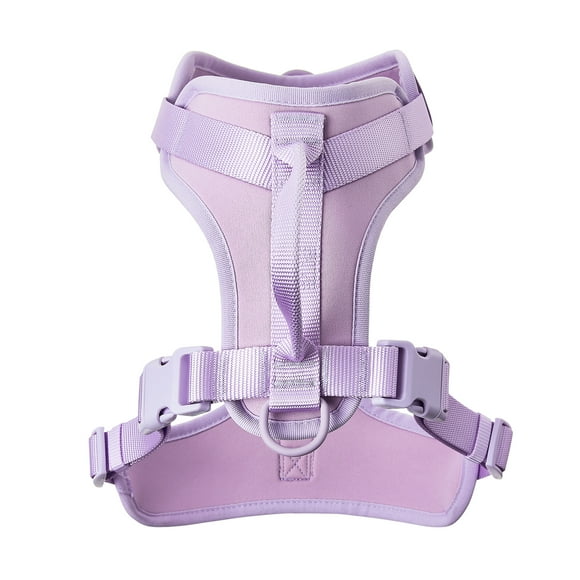 Vibrant Life Neoprene Comfort Control Dog Harness, Lavender, L