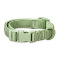 thumbnail image 1 of Vibrant Life Neoprene Cushioned Adjustable Dog Collar, Sage Green, Small, 1 of 8