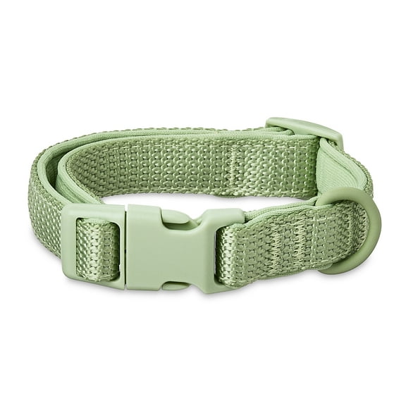 Vibrant Life Neoprene Cushioned Adjustable Dog Collar, Sage Green, Small