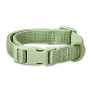 Vibrant Life Neoprene Cushioned Adjustable Dog Collar, Sage Green, S