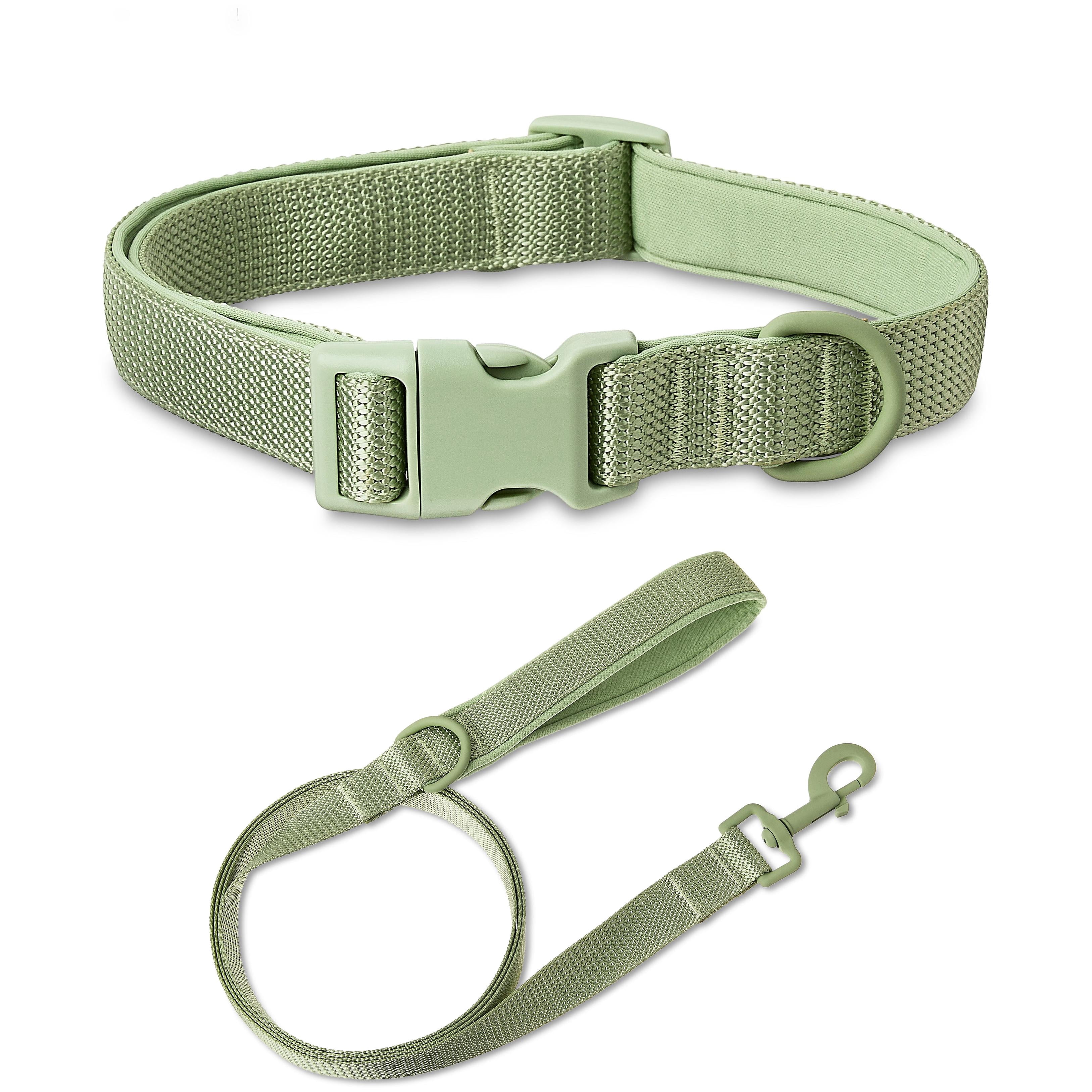 Vibrant Life Neoprene Cushioned Adjustable Dog Collar Large and 6ft Leash, Sage, Size Large