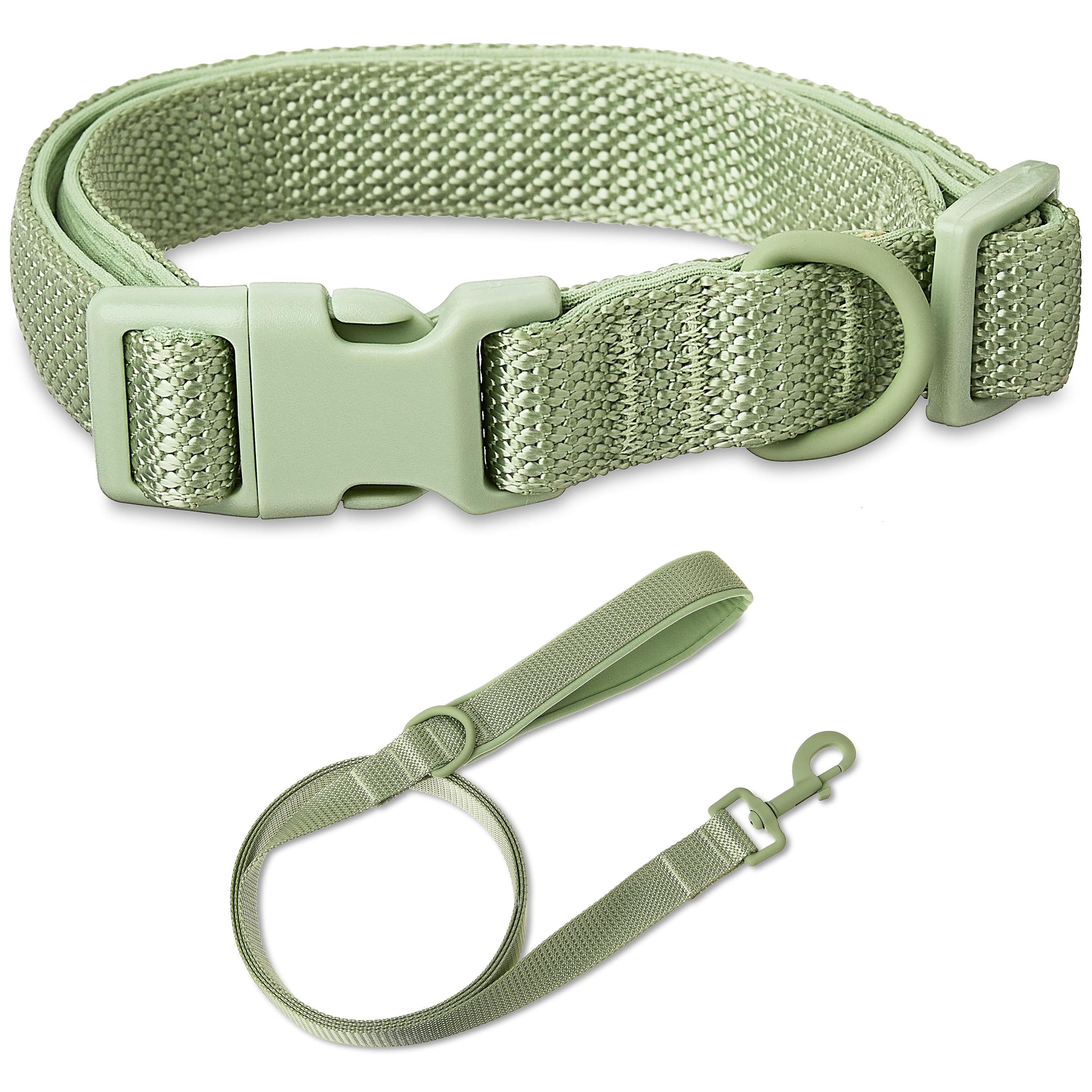 Vibrant Life Neoprene Cushioned Adjustable Dog Collar Medium and 6ft Leash, Sage, Size Medium