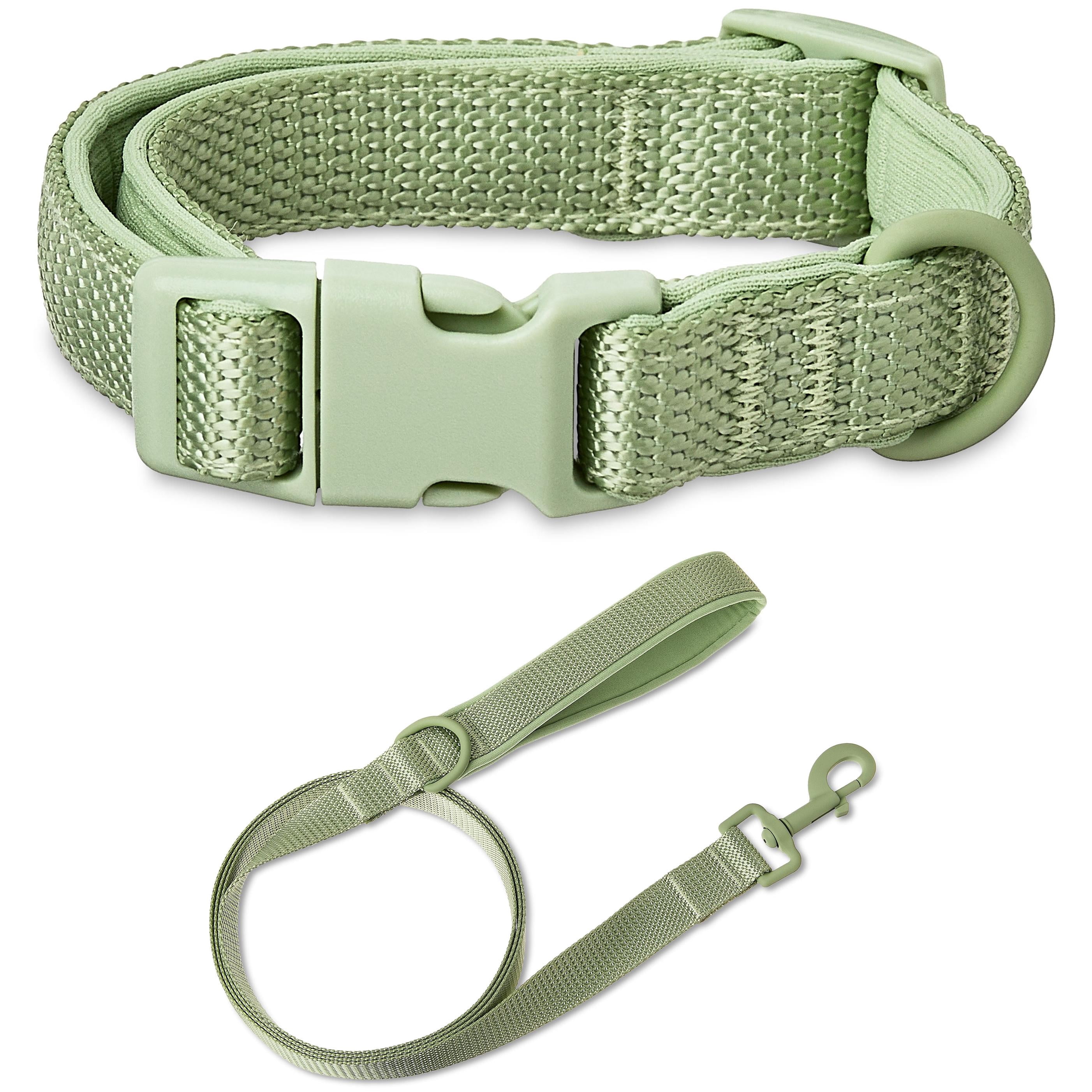 Vibrant Life Neoprene Cushioned Adjustable Dog Collar Small and 6ft Leash, Sage, Size Small