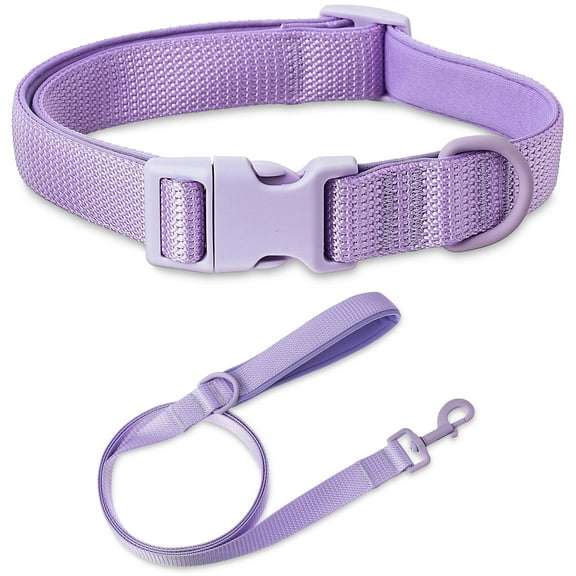 Vibrant Life Neoprene Cushioned Adjustable Dog Collar and 6ft Leash, Lavender, Large
