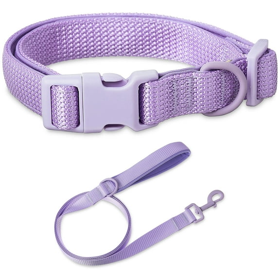 Vibrant Life Neoprene Cushioned Adjustable Dog Collar and 6ft Leash, Lavender, Medium