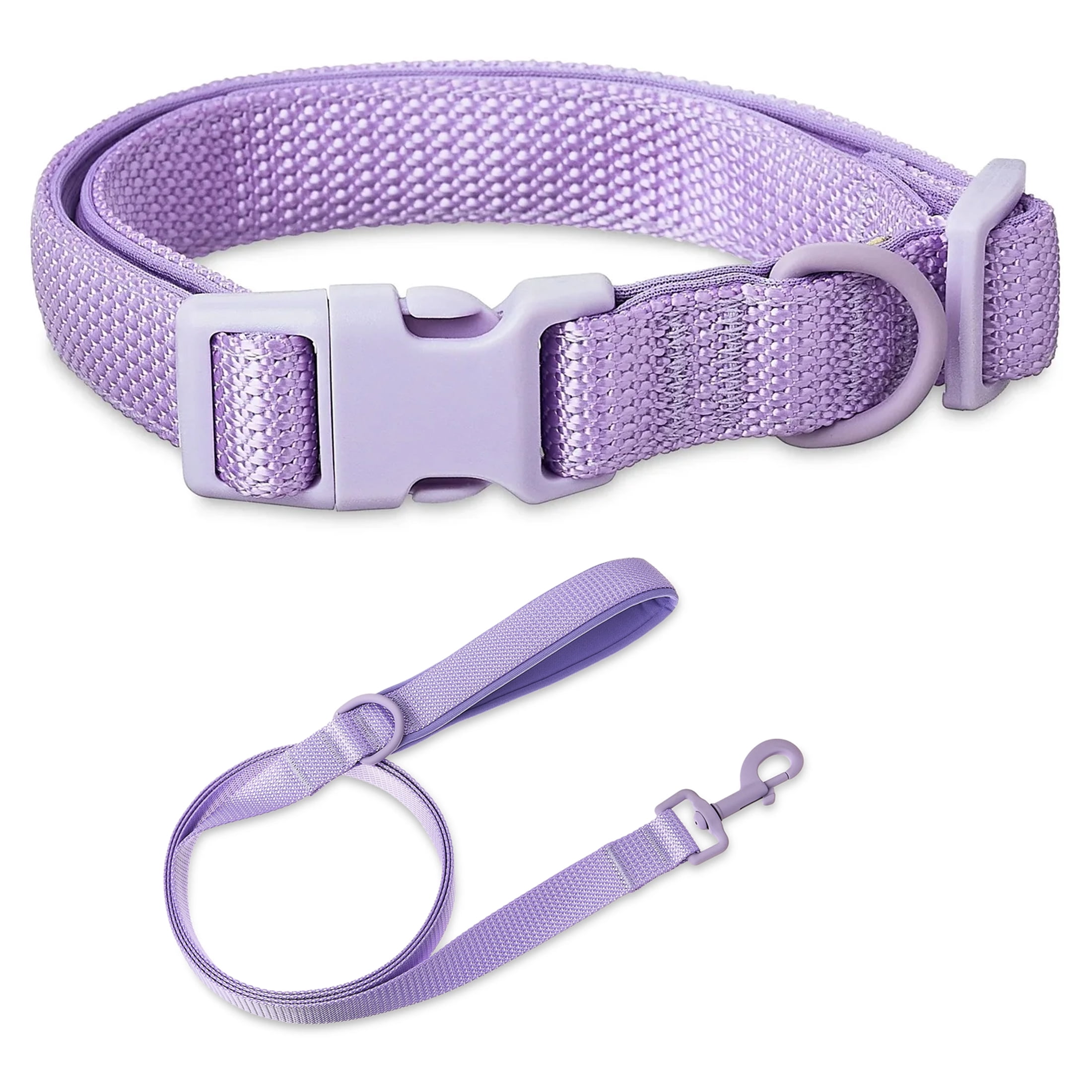 Vibrant Life Neoprene Cushioned Adjustable Dog Collar and 6ft Leash, Lavender, Small