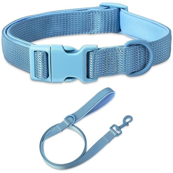 Vibrant Life Neoprene Cushioned Adjustable Dog Collar and 6ft Leash, Soft Blue, Large Dog