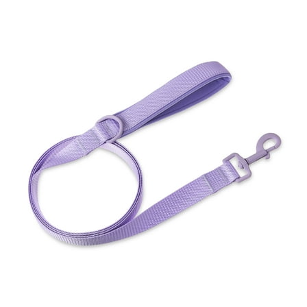 Vibrant Life Neoprene Cushioned Monochrome Leash for Medium & Large Dogs, Lavender, 6 ft