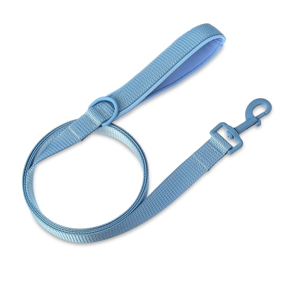 Vibrant Life 6 ft Neoprene Cushioned Leash, Soft Blue, Medium / Large
