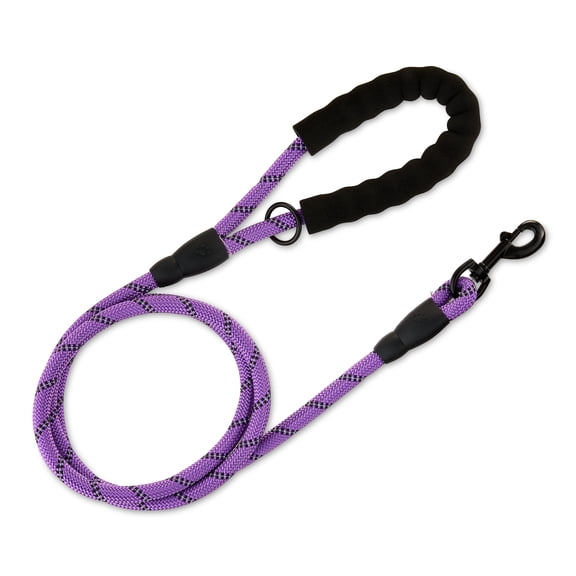 Vibrant Life 6' Neoprene Cushioned Rope Dog Leash, Purple