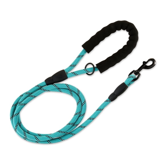 Vibrant Life 6' Neoprene Cushioned Rope Dog Leash, Teal