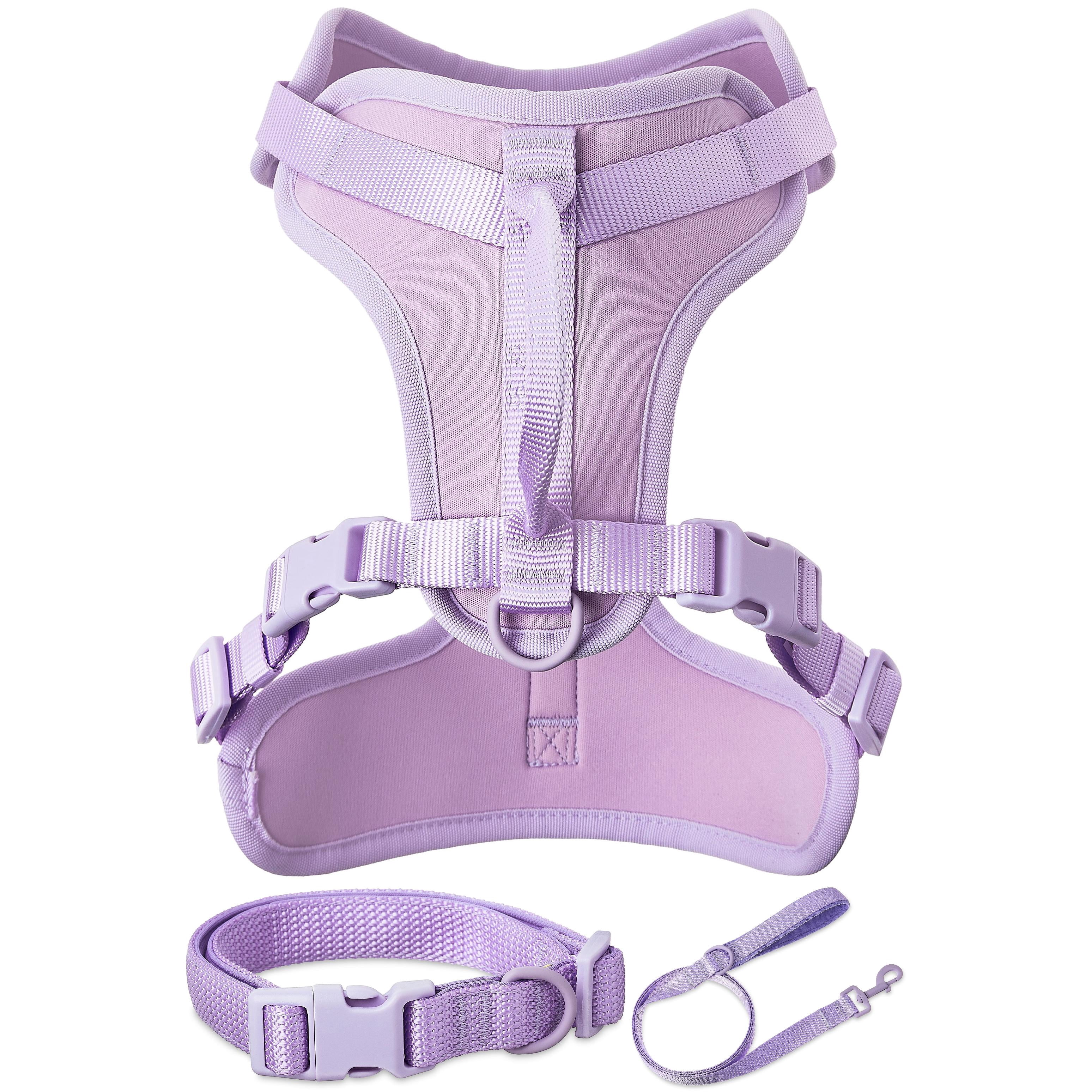 Vibrant Life Neoprene Cushioned Walking Dog Set, Adjustable Dog Collar and Harness with 6ft Leash, Lavender, Medium