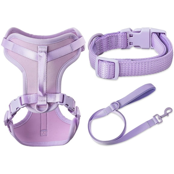 Vibrant Life Neoprene Cushioned Walking Dog Set, Adjustable Dog Collar and Harness with 6ft Leash, Lavender, Small