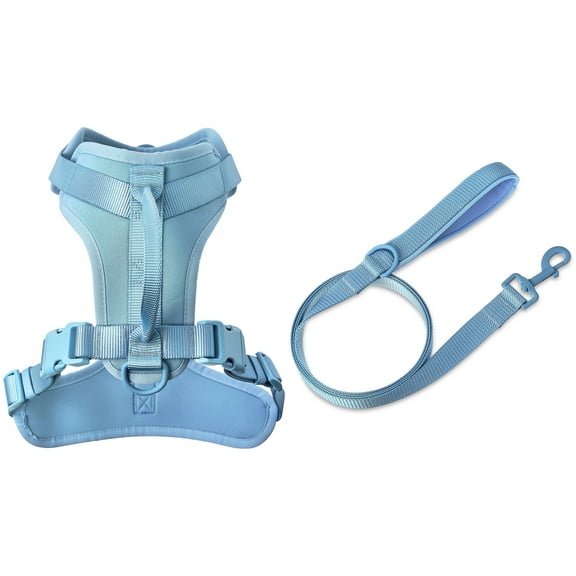 Vibrant Life Neoprene Cushioned Walking Dog Set, Adjustable Dog Harness L with 6ft Leash, Soft Blue, Large