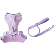 Vibrant Life Neoprene Cushioned Walking Dog Set, Adjustable Dog Harness Large with 6ft Leash, Lavender, Harness Large