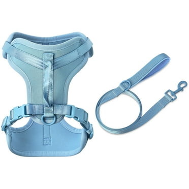 Vibrant Life Neoprene Cushioned Walking Dog Set, Adjustable Dog Harness S with 6ft Leash, Soft Blue, Small