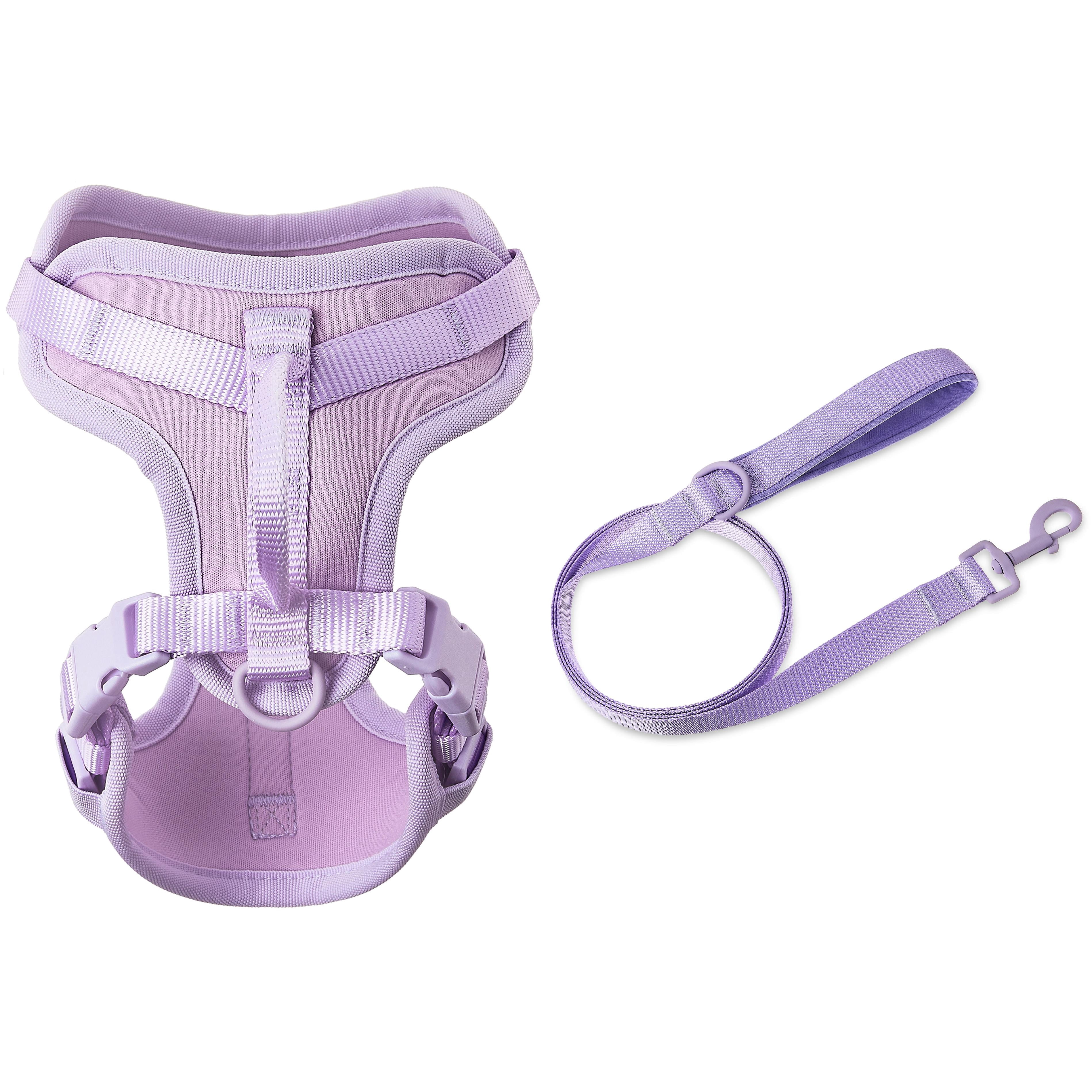 Vibrant Life Neoprene Cushioned Walking Dog Set, Adjustable Dog Harness Small with 6ft Leash, Lavender, Harness Extra Small