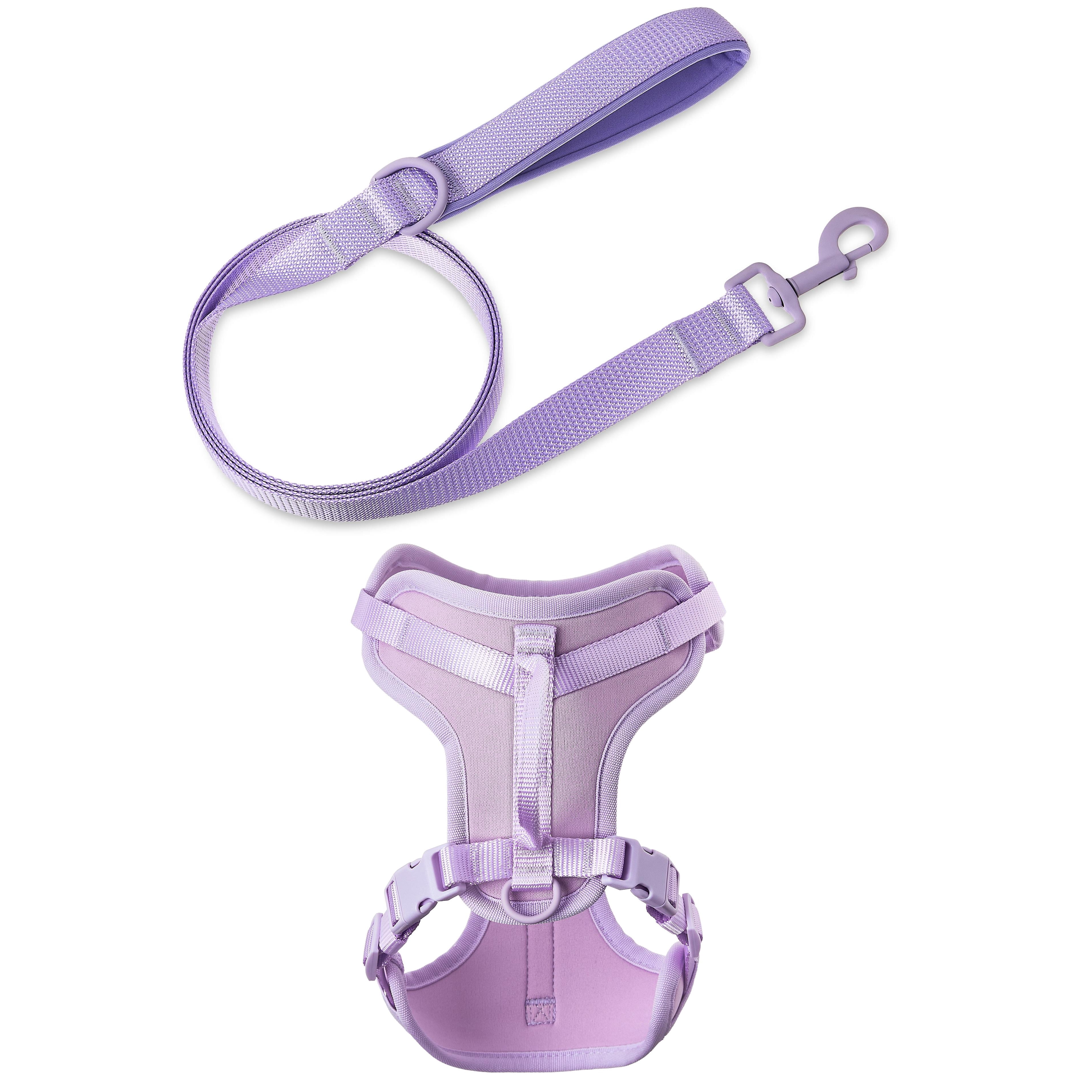 Vibrant Life Neoprene Cushioned Walking Dog Set, Adjustable Dog Harness Small with 6ft Leash, Lavender, Harness Small