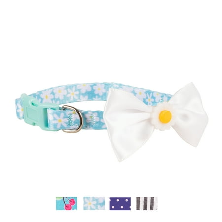 Vibrant Life Patterned Fashion Dog Collar, Blue Daisy, Small