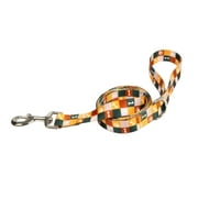 Vibrant Life 6' Polyester Paw and Bone Grid Standard Dog Leash, Multicolor
