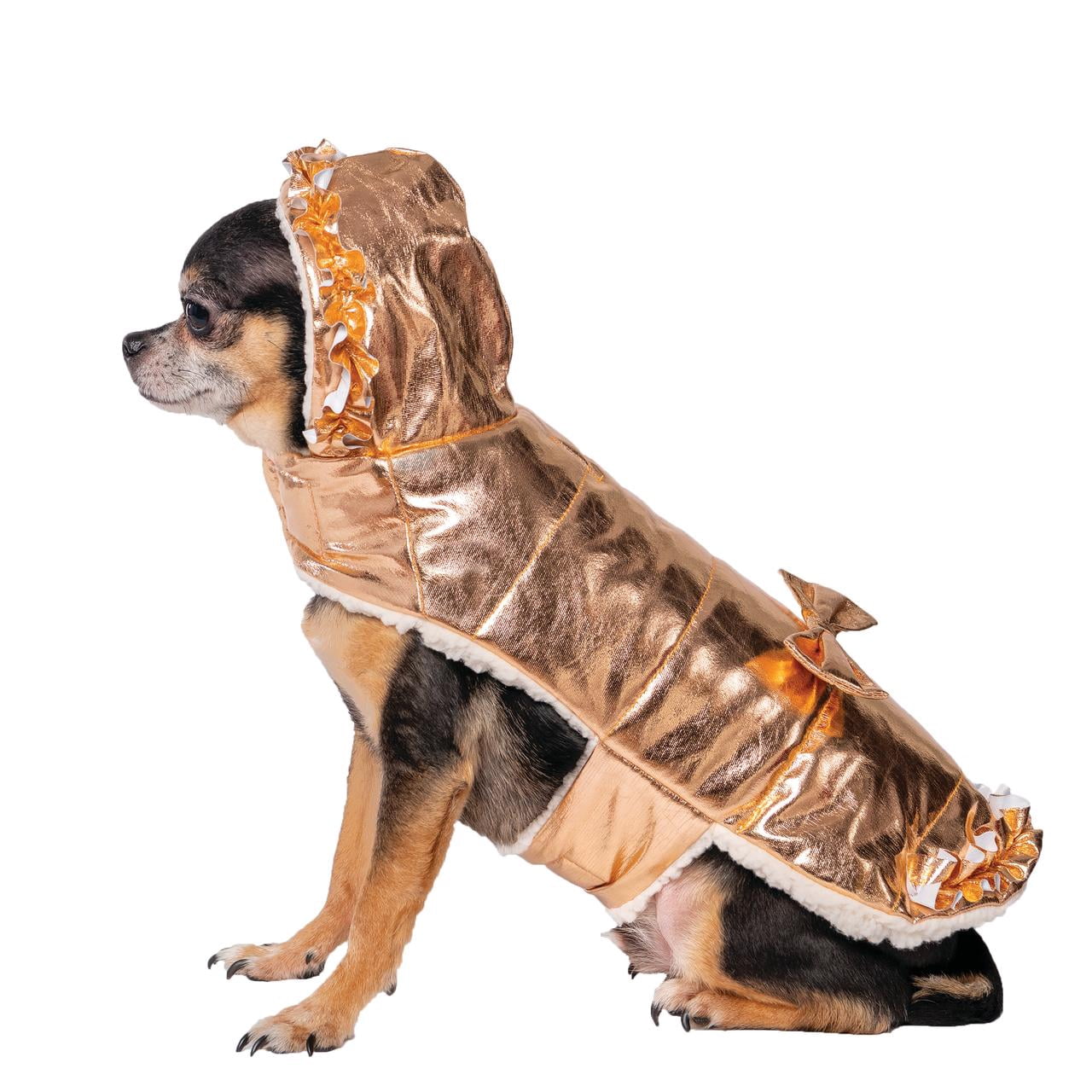 Photo inspiration: Vibrant Life Pet Jacket For Dogs And Cats Metallic Hooded Photo Inspiration