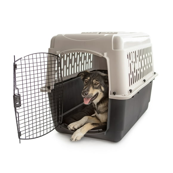 Vibrant Life Pet Kennel Medium 36" Dog Crate, Plastic Travel Pet Carrier for Pets 50-70 lb, Grey