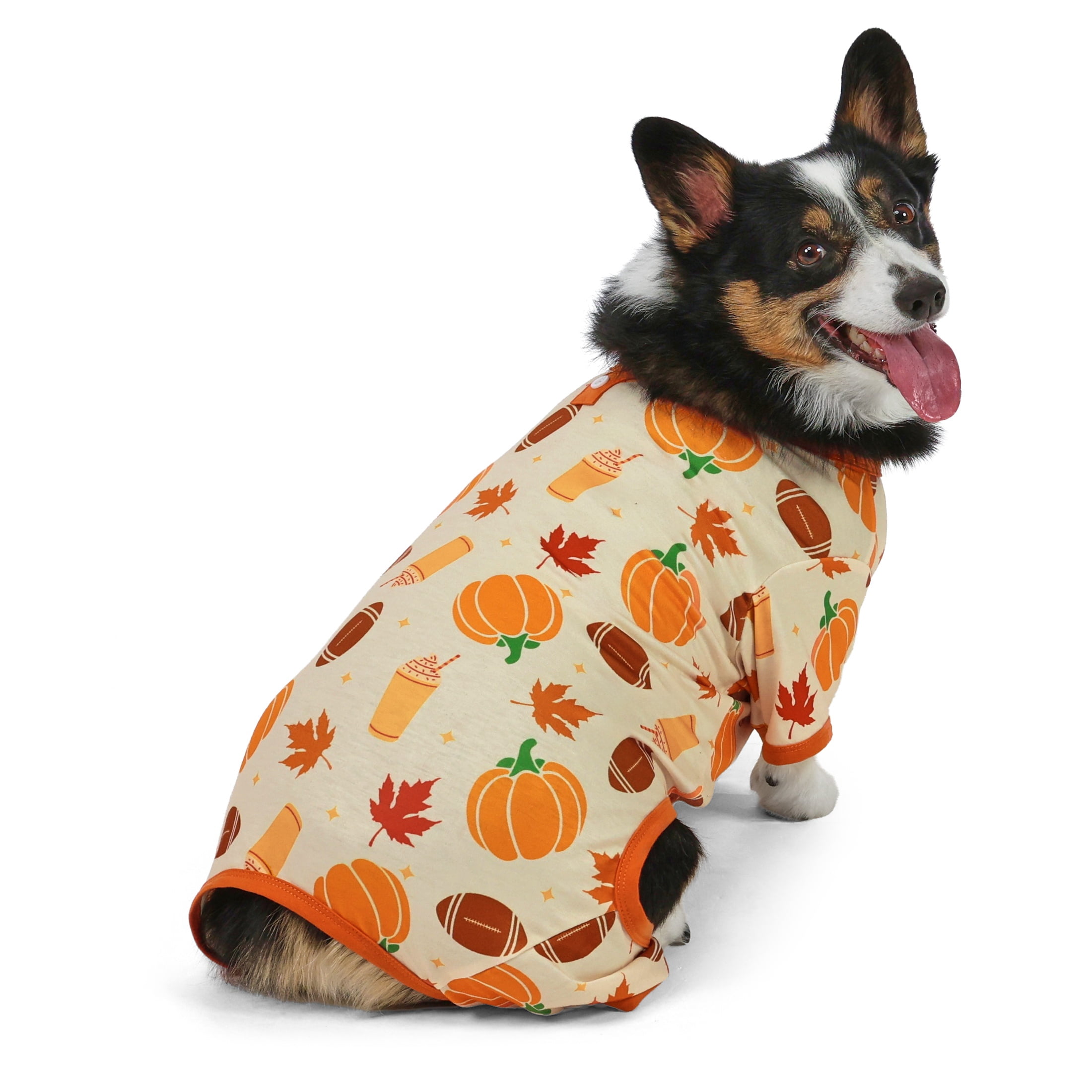 Vibrant Life Halloween Pajamas for Dogs, Pumpkins and Leaves, Orange, M