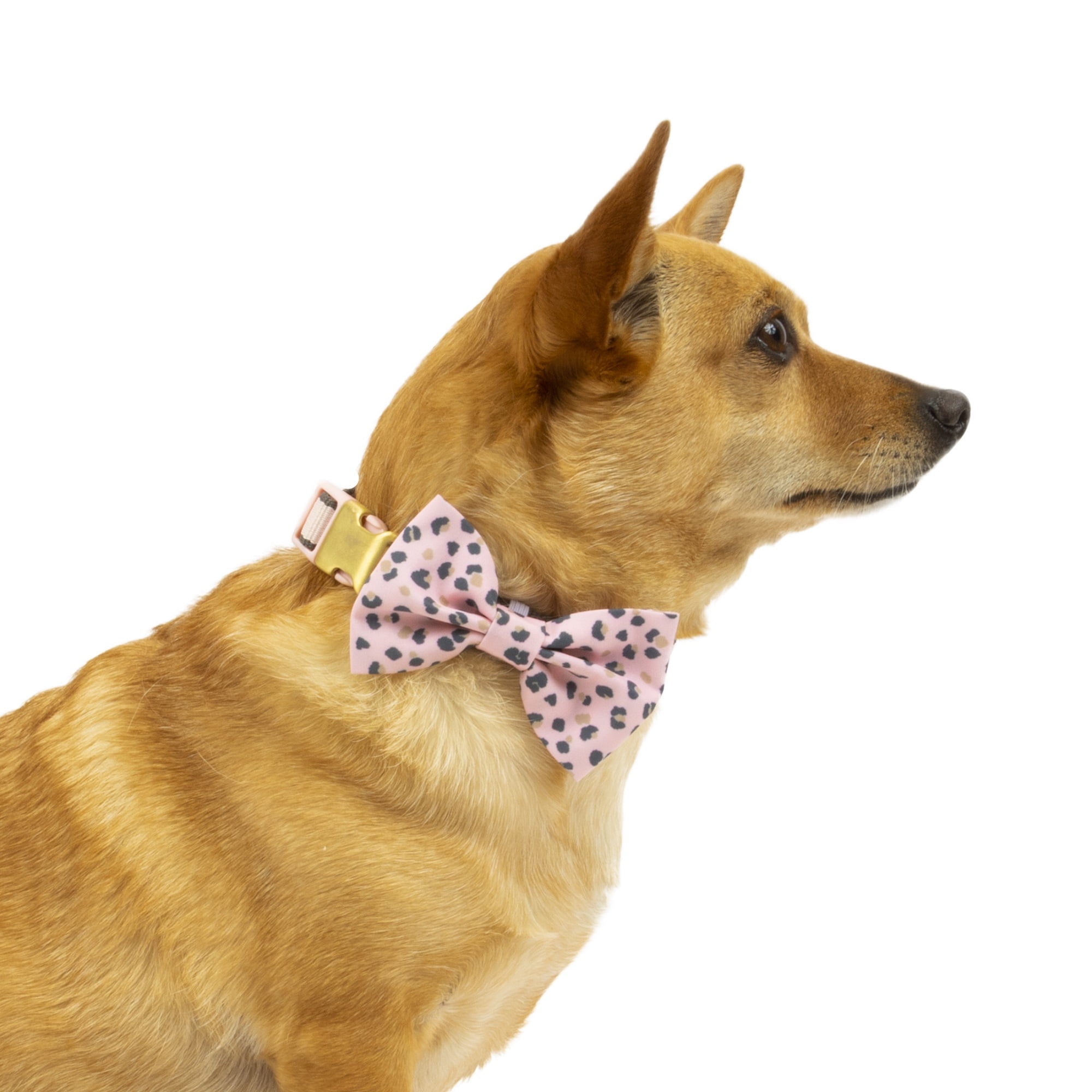 Vibrant Life Pink Collar Bow Tie Slider Set for Dogs, Size Medium