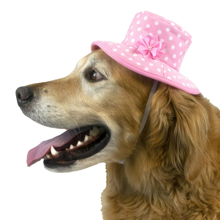 Fashion Flower Brown Collar - Dashing Dogs