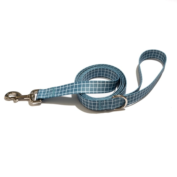 Vibrant Life Dog Leashes, Plaid Standard Pet Leash, Blue, 6 Ft. Long