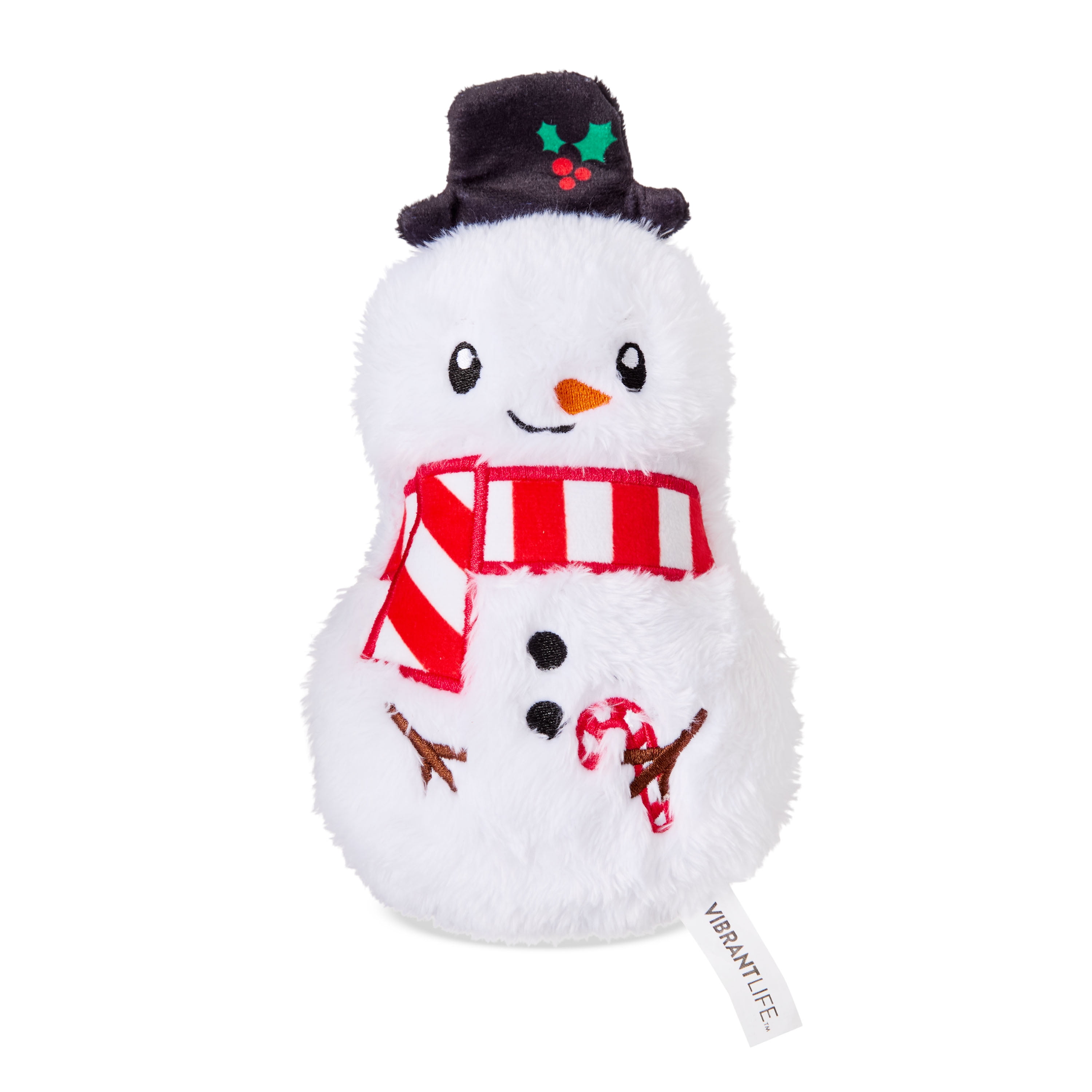 Vibrant Life Plush Dog Toy with Squeaker, Snowman