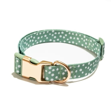 Vibrant Life Polka Dot Print Fashion Dog Collar, Metal Buckle, Green, Small