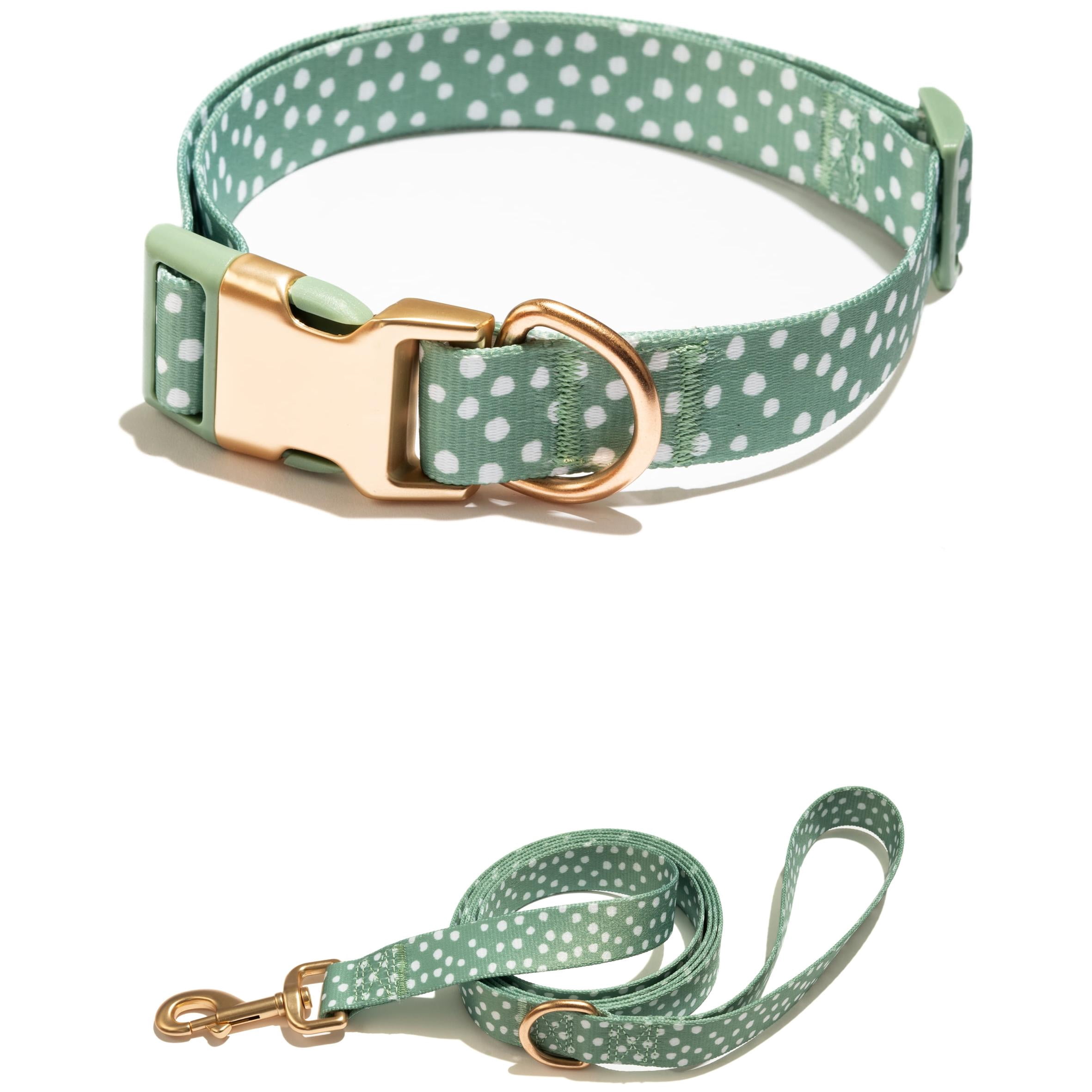 Vibrant Life Polka Dot Print Fashion Dog Collar with Metal Buckle and 6ft leash, Teal Green, Large