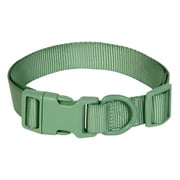 Vibrant Life Polyester Adjustable Collar for Dogs, Sage Green, Large