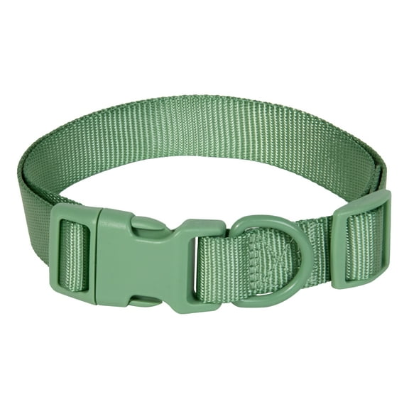 Vibrant Life Polyester Adjustable Collar for Dogs, Sage Green, Large