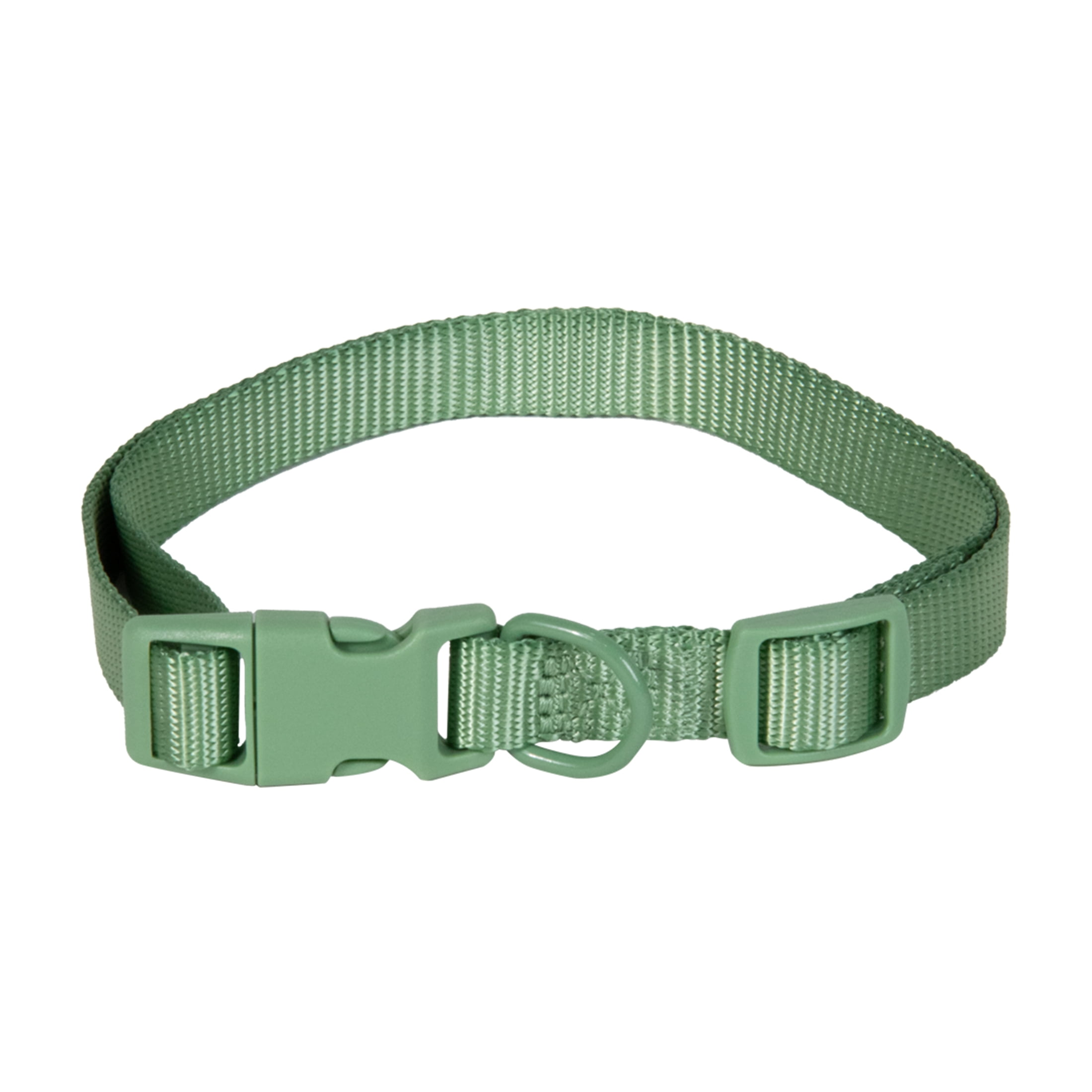 Vibrant Life Polyester Adjustable Collar for Dogs, Sage Green, Medium