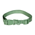 thumbnail image 1 of Vibrant Life Polyester Adjustable Collar for Dogs, Sage Green, Medium, 1 of 6