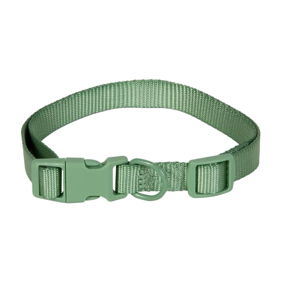 Vibrant Life Polyester Adjustable Collar for Dogs, Sage Green, Medium