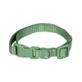 thumbnail image 1 of Vibrant Life Polyester Adjustable Collar for Dogs, Sage Green, Small, 1 of 5