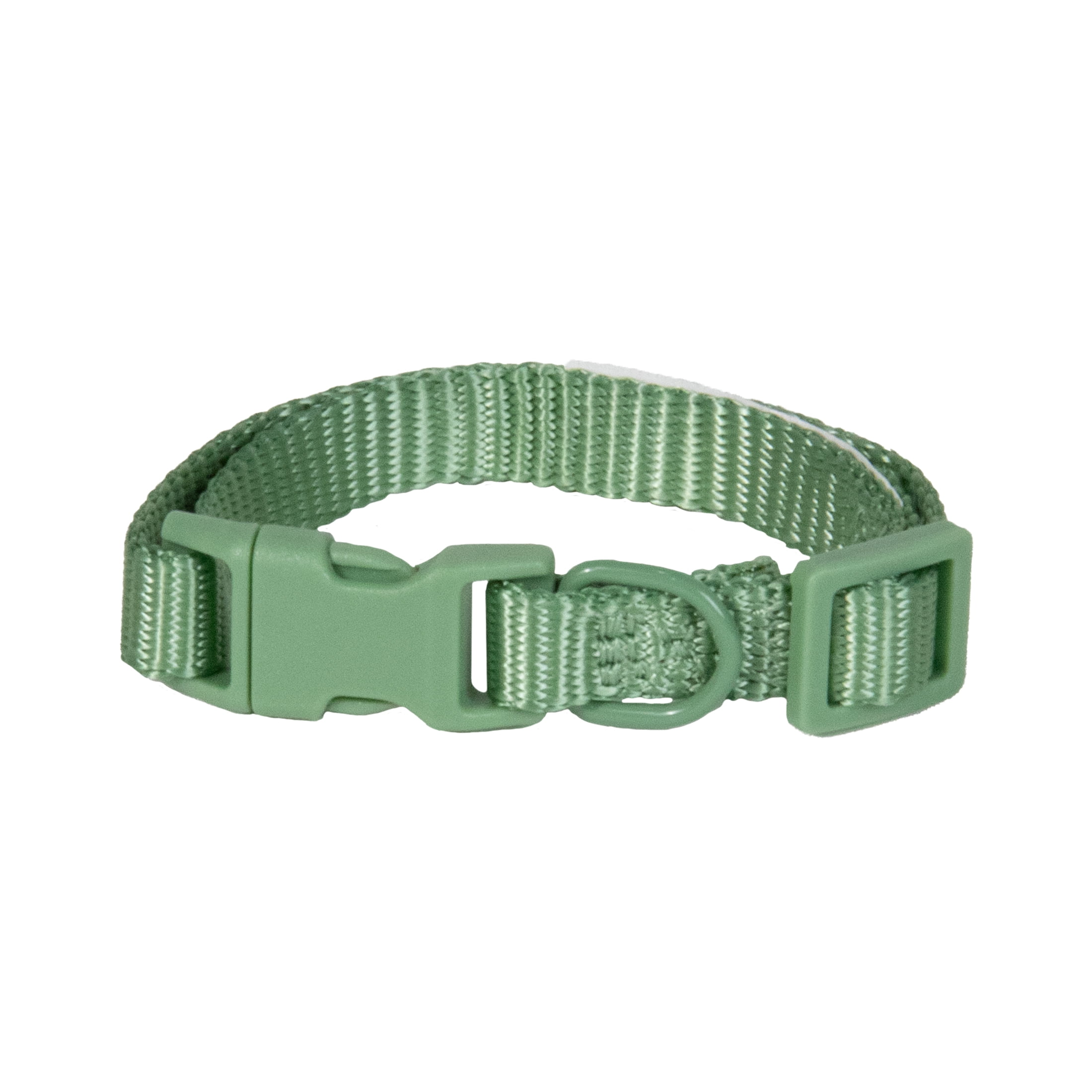 Vibrant Life Polyester Adjustable Collar for Dogs, Sage Green, X-Small