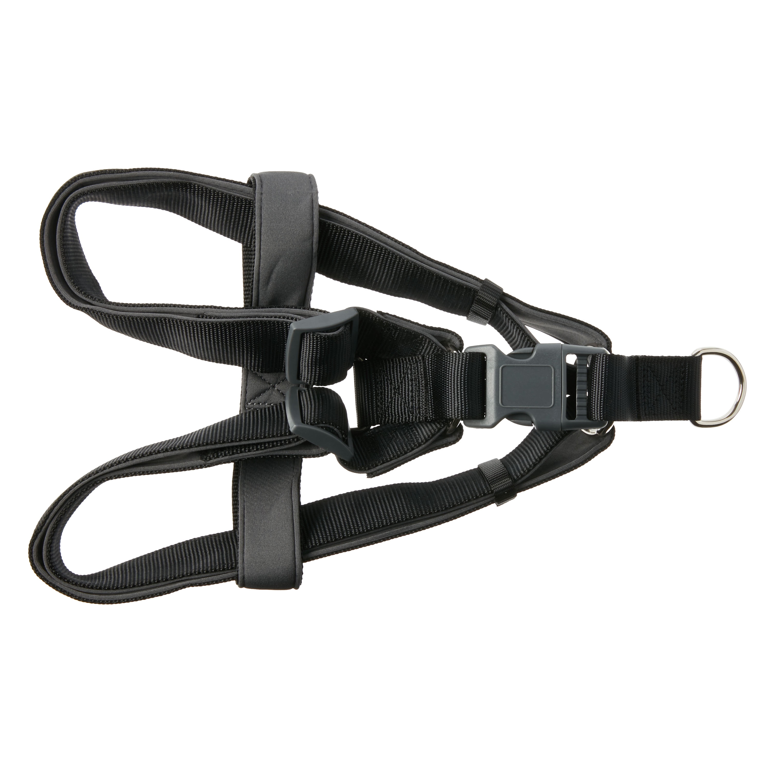 Vibrant life step in sales dog harness