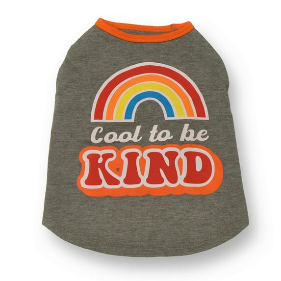 Vibrant Life Polyester Rainbow Cool to Be Kind Dog T-Shirt, Gray, XS