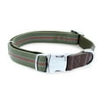 Vibrant Life Premium Dog Collar, Olive, Small