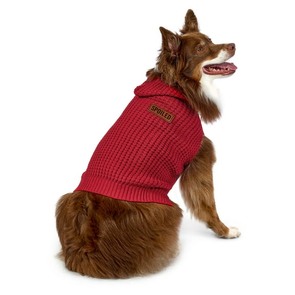 Vibrant Life Holiday Pet Sweater for Dogs, Spoiled Waffle Knit, Red, Medium