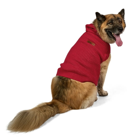 Vibrant Life Holiday Pet Sweater for Dogs, Spoiled Waffle Knit, Red, Extra Large