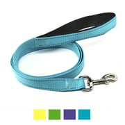Vibrant Life Reflective Comfort Dog Leash, Large, Teal, 6ft x 1in