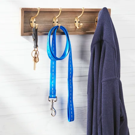 Vibrant Life Reflective Polyester Dog Leash, Blue, Large, 6 feet