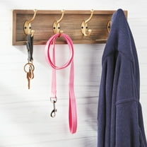 Vibrant Life Reflective Polyester Dog Leash, Pink, Medium, 5 feet